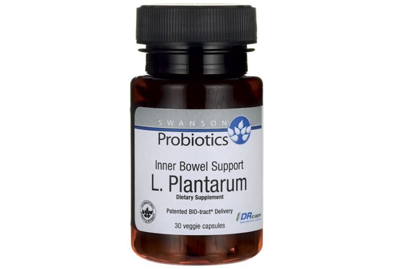 Soutien intestinal grâce au Lactobacillus plantarum – Image 2