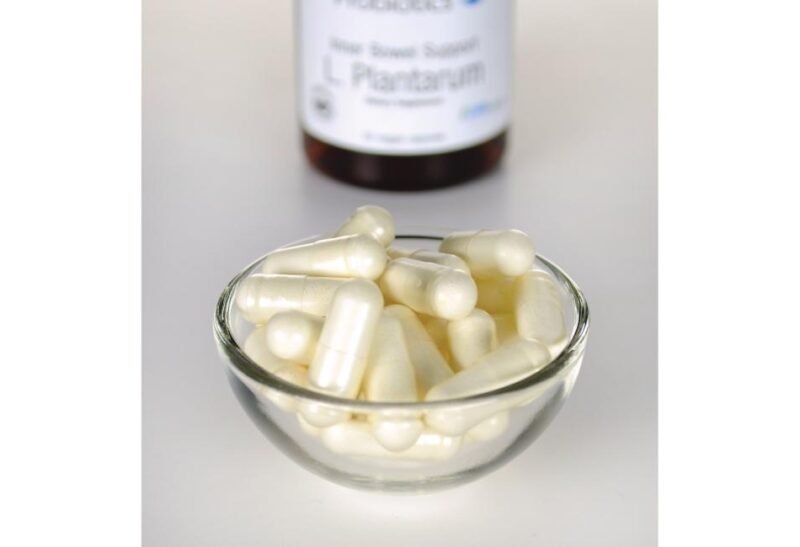 Soutien intestinal grâce au Lactobacillus plantarum – Image 4
